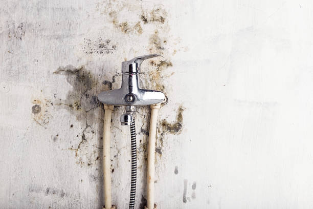 Best Mold Testing and Inspection Services in Heritage Lake, IN