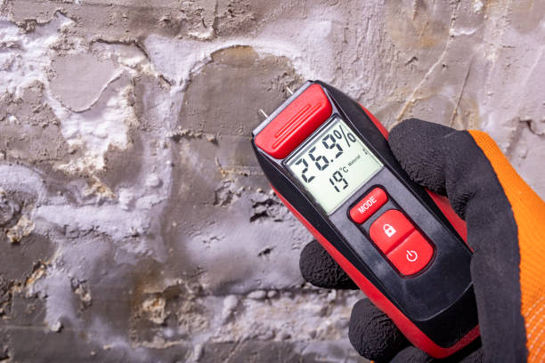 Best Post-Flood Mold Remediation in Heritage Lake, IN